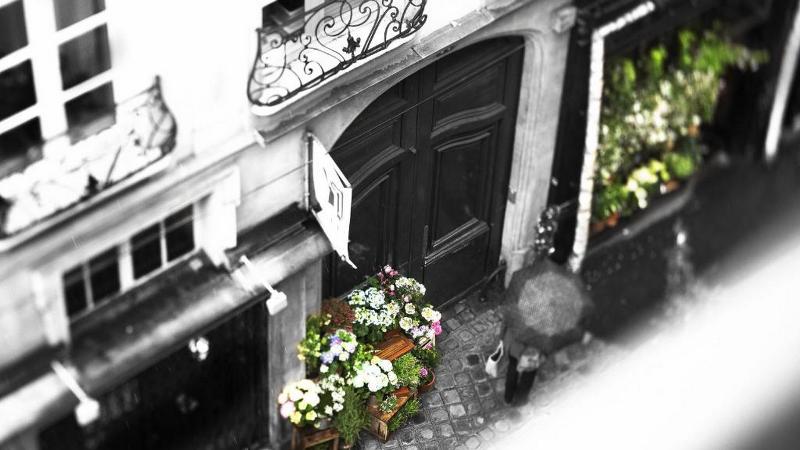 ホテル Hôtel Da Vinci & Spa