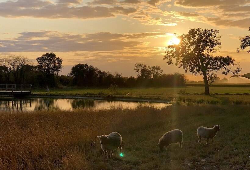 فندق Domaine De La Thiau
