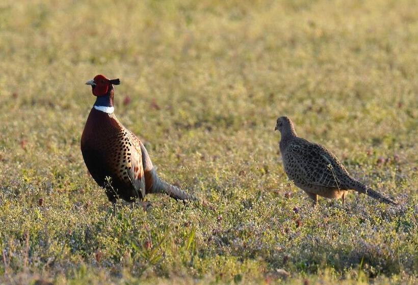 فندق Domaine De La Thiau