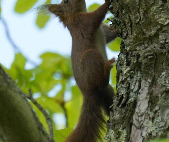 فندق Domaine De La Thiau
