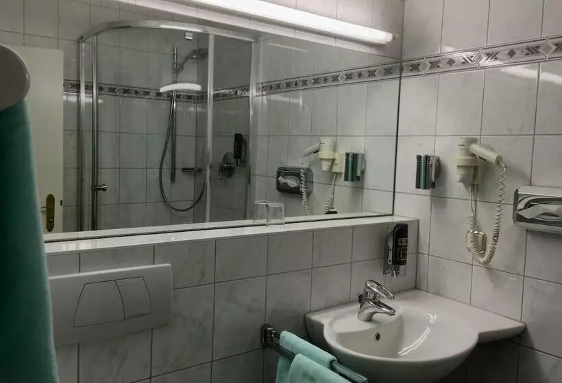 בית מלון כפרי Hansa