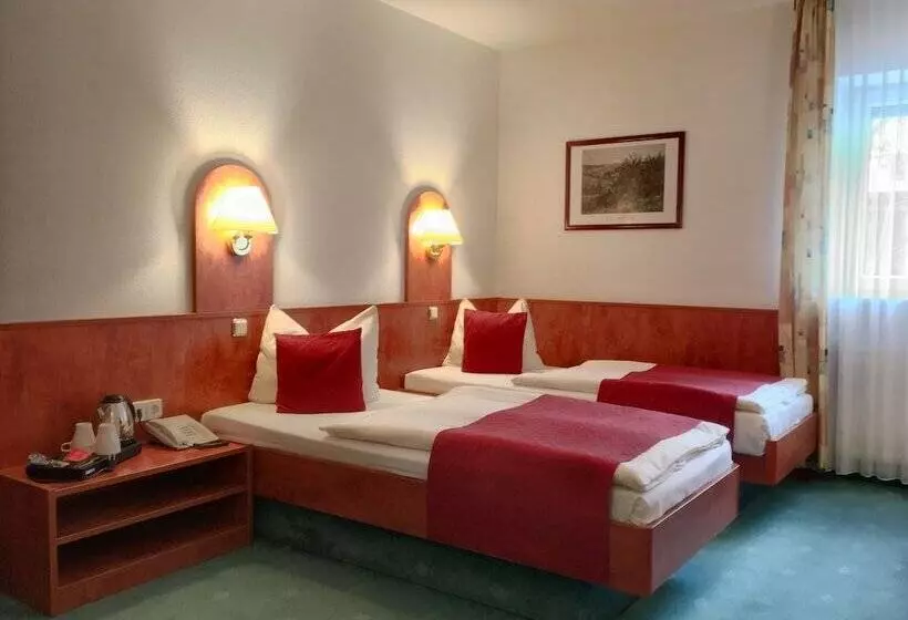 בית מלון כפרי Hansa