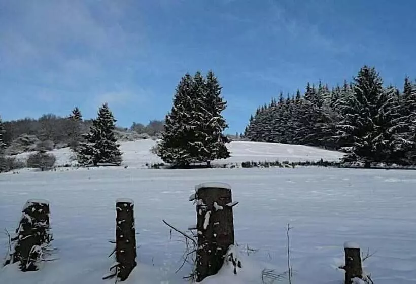 ホテル Haus Zur Sonne Sauerland