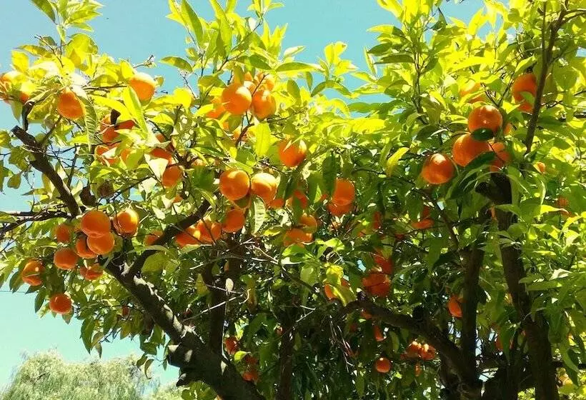 호텔 Kimi Résidence