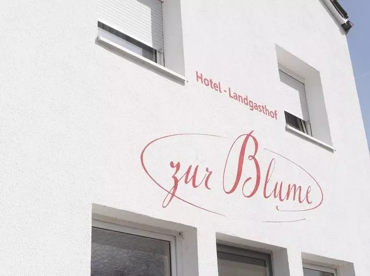 Отель Landgasthof Blume