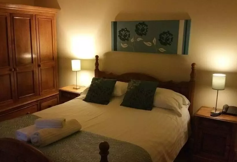 בית מלון כפרי Plas Hyfryd