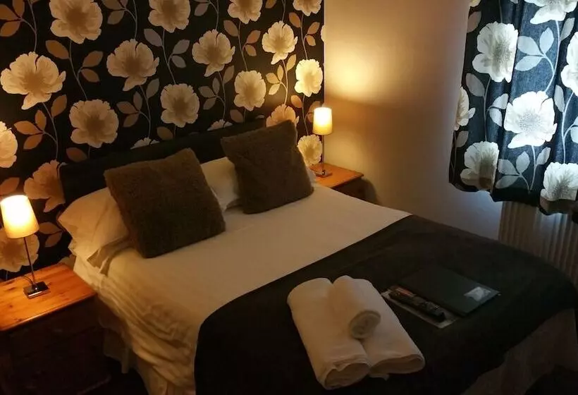 בית מלון כפרי Plas Hyfryd