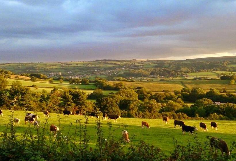 فندق Redhill House Brs Airport