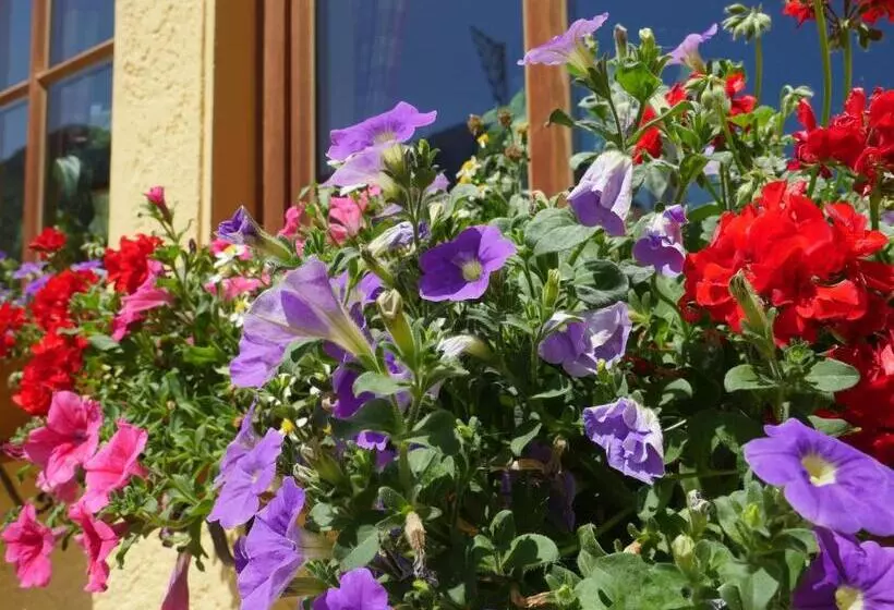 Deva Hotel Alpenglück