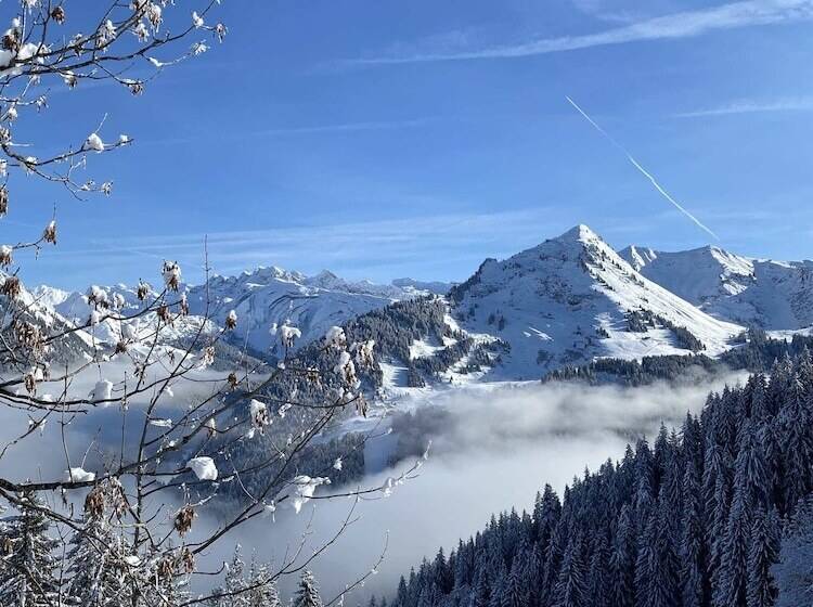 هتل Rhodos Morzine