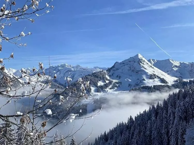 هتل Rhodos Morzine