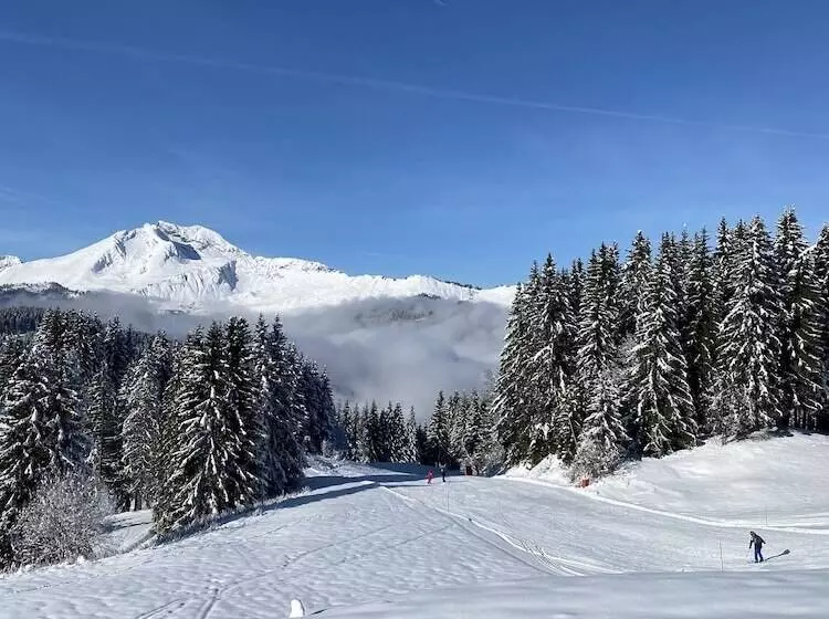 هتل Rhodos Morzine