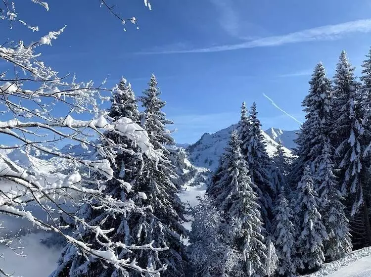 هتل Rhodos Morzine