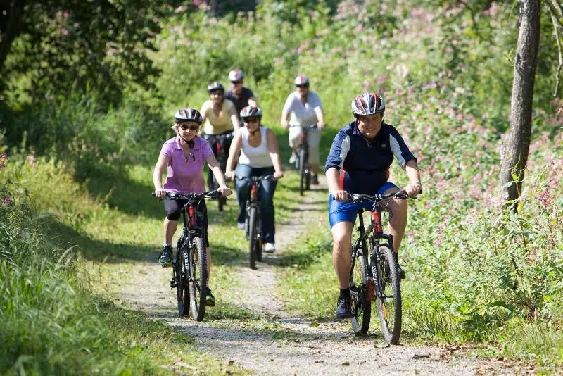 Wunsch Hotel Mürz Natural Health & Spa