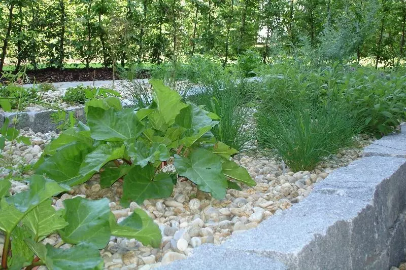 Wunsch Hotel Mürz Natural Health & Spa