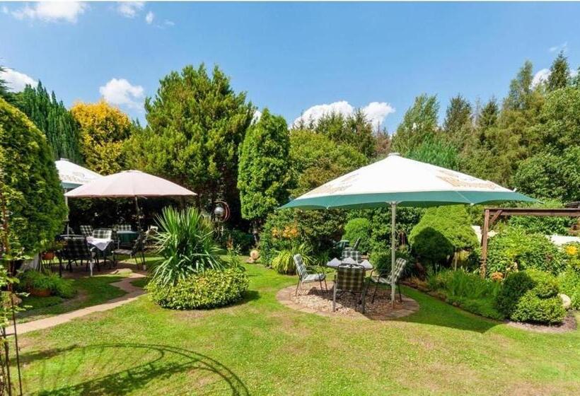 ホテル Zur Erholung & Restaurant Amme's Landhaus