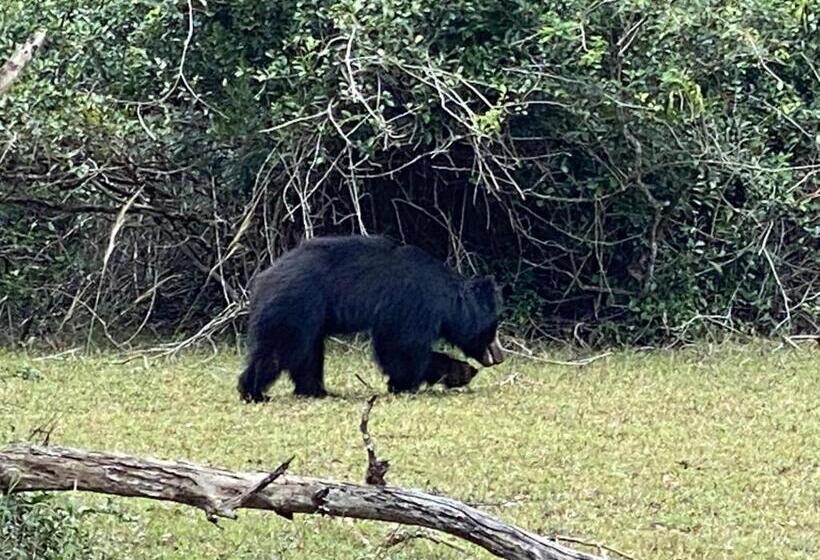 住宿加早餐  Christima Residence