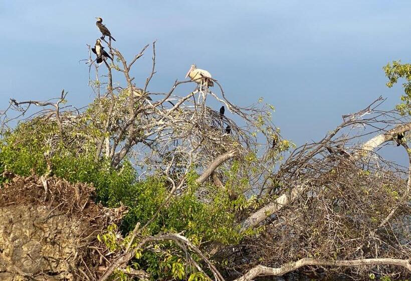 住宿加早餐  Christima Residence