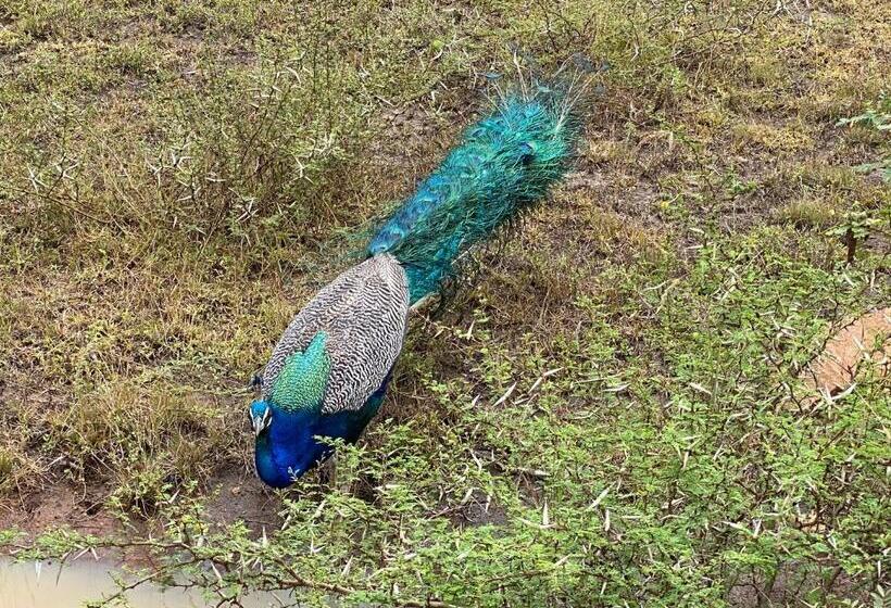 住宿加早餐  Christima Residence