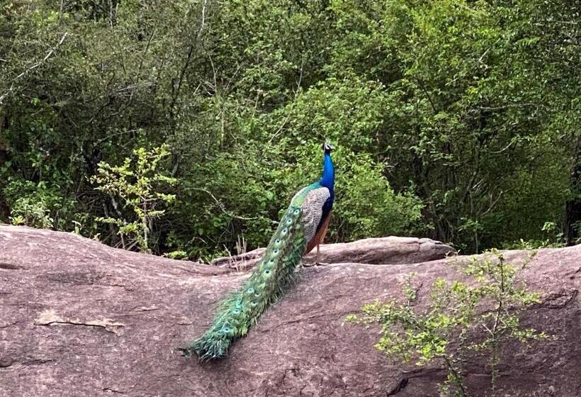 住宿加早餐  Christima Residence