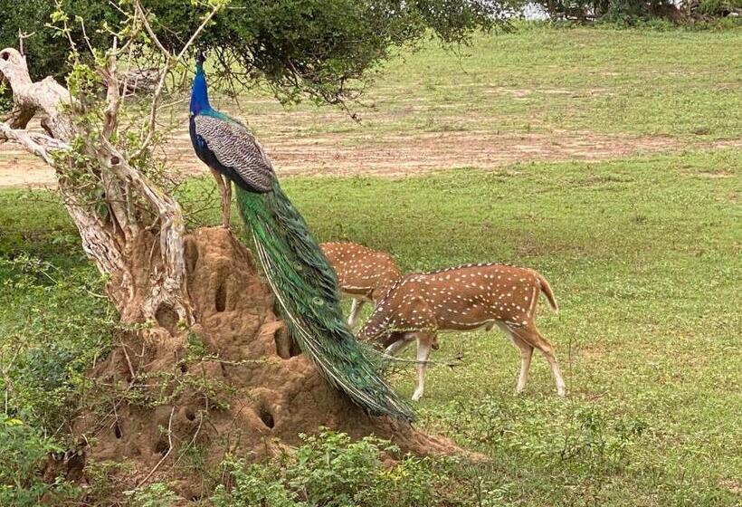 住宿加早餐  Christima Residence