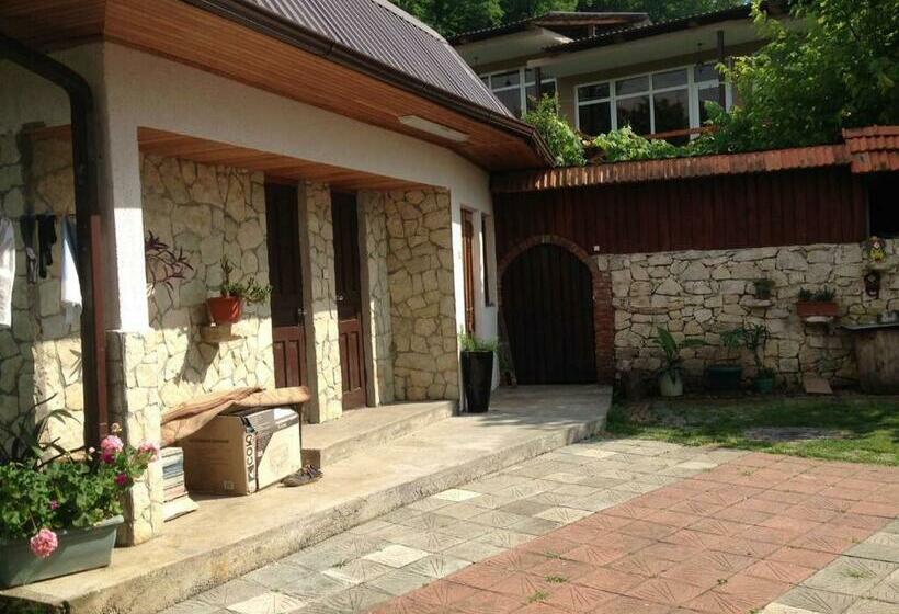 پانسیون Apsua Home