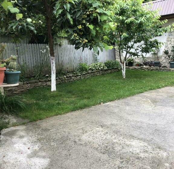 پانسیون Apsua Home