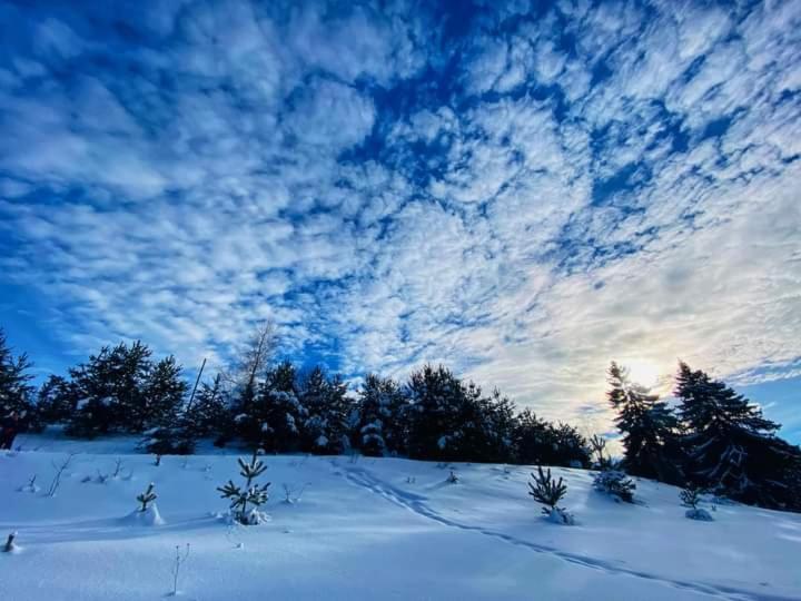 پانسیون Guest House Lorian