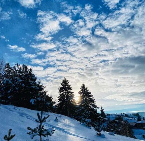 پانسیون Guest House Lorian