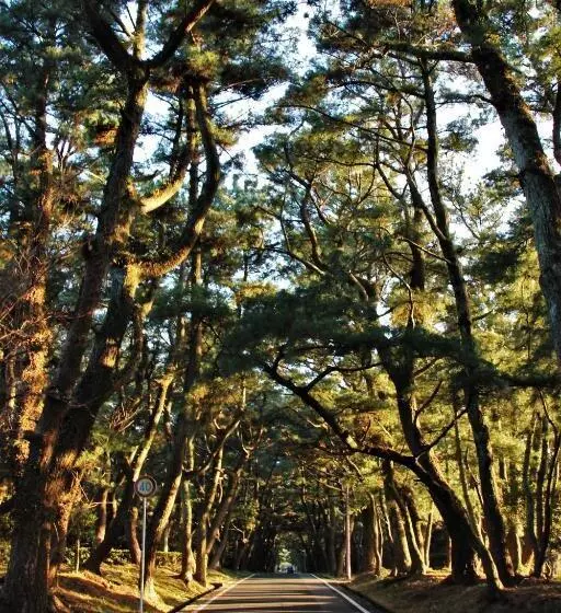 ペンション Shimayado Goen