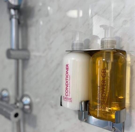 בית מלון כפרי The Black Swan