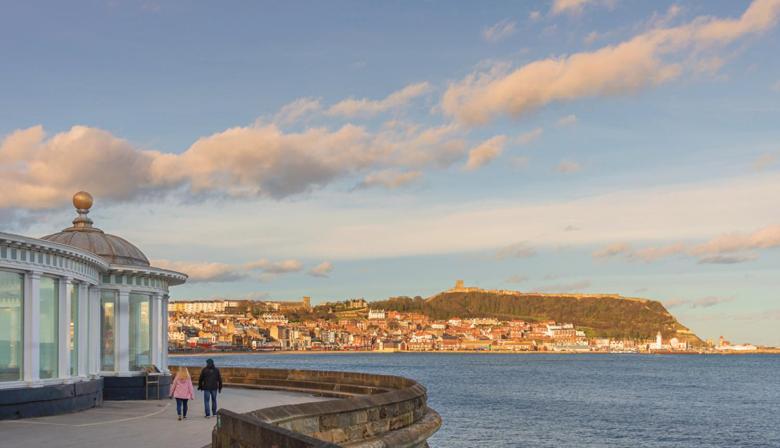 בית מלון כפרי The Black Swan