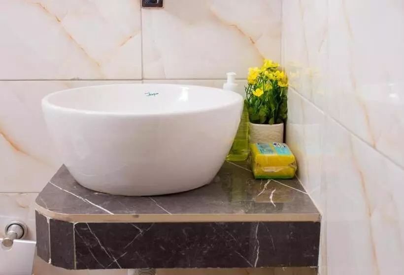 Aamiaismajoitus (B&B) Van Der Salle   Flovan Plaza