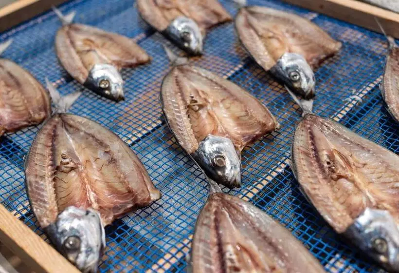 Hostel 東風ノ家（kochi No Ya）