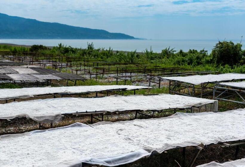 Hostel 東風ノ家（kochi No Ya）