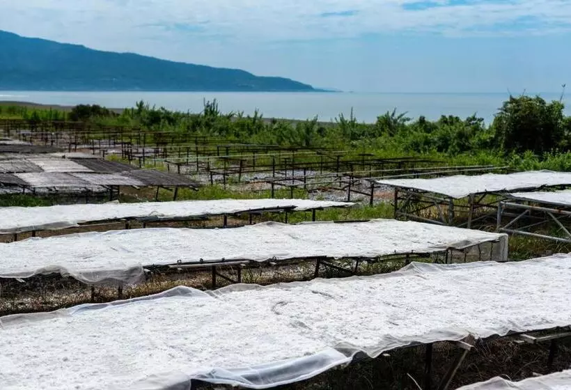 Hostel 東風ノ家（kochi No Ya）