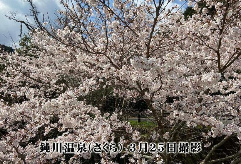 Hotell リバーサイド