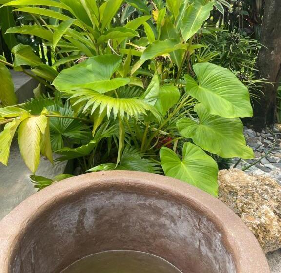 هتل La Bohème Boutique Glamping