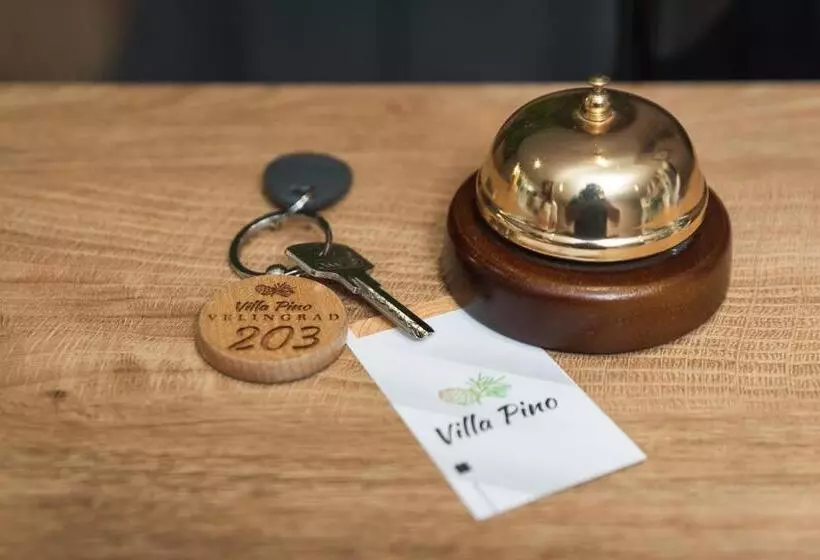 ペンション Villa Pino