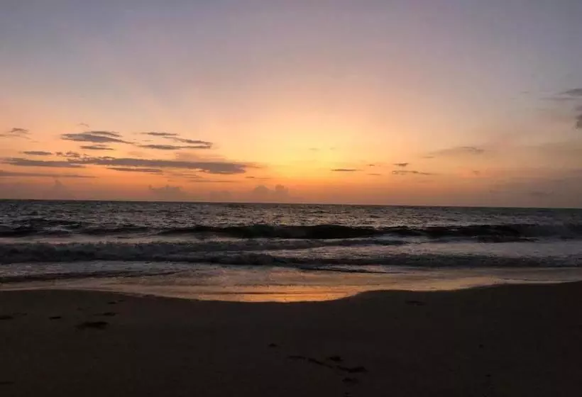 リゾートホテル Lemon Dew Beach House, Alleppey Beach