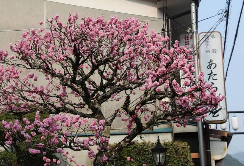 Atarashiya Ryokan Dorogawa Onsen Hot Spring
