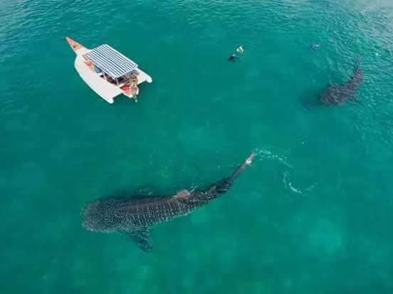 Aamiaismajoitus (B&B) Mafia Beach Bungalows Sea View