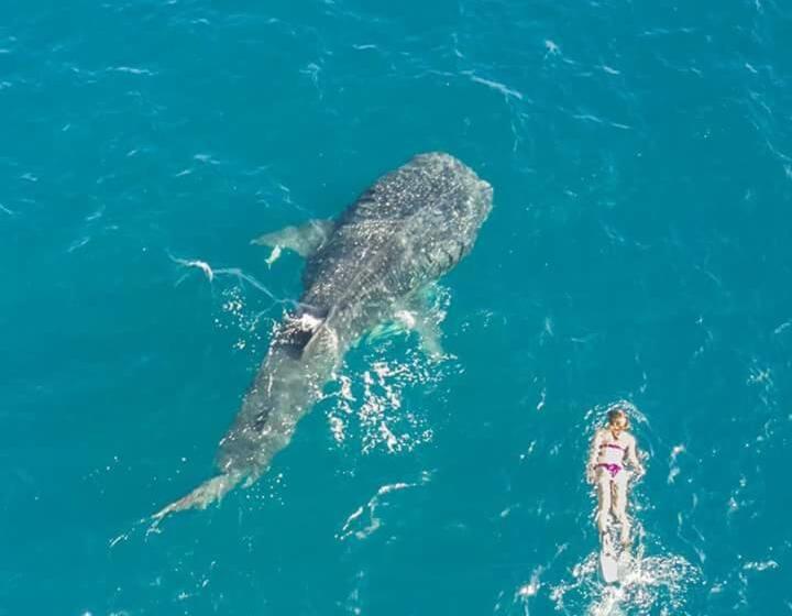 민박 Mafia Beach Bungalows Sea View