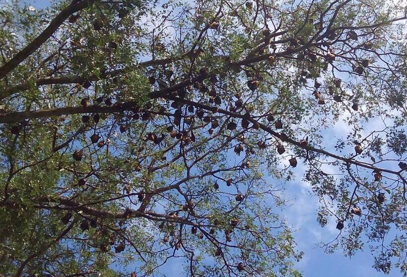 민박 Mafia Beach Bungalows Sea View