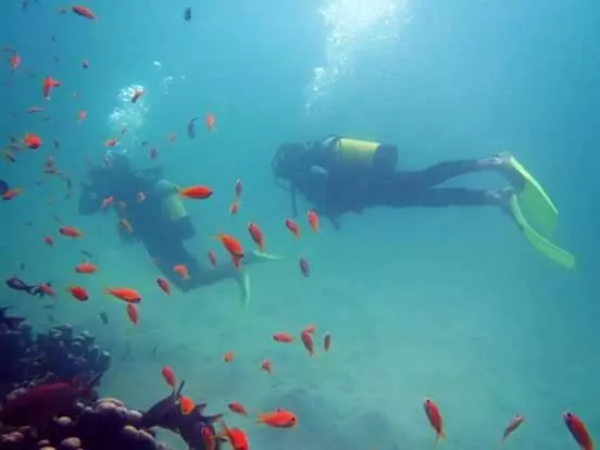 Aamiaismajoitus (B&B) Mafia Beach Bungalows Sea View