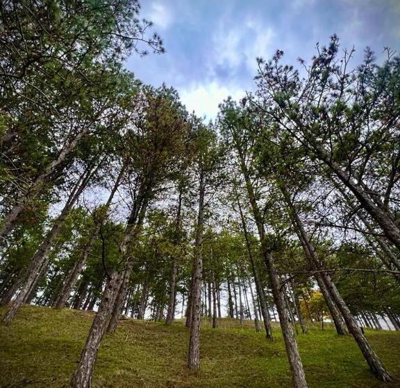 ホテル Agriturismo Casale Montebello