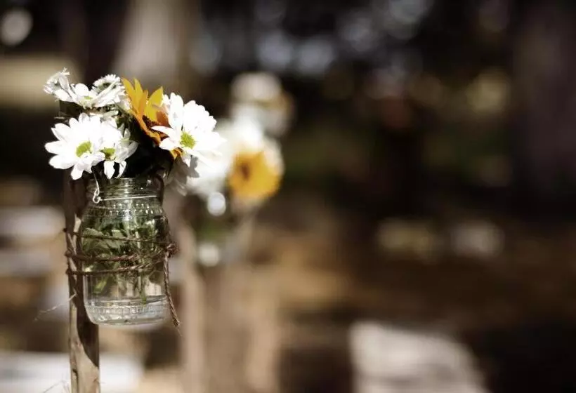 Hotelli Schaftplaas Cottages