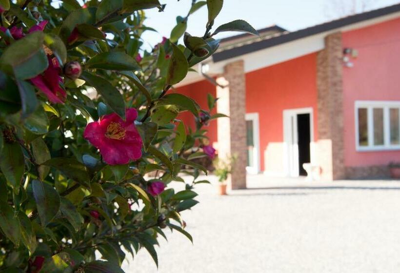 ホテル Tenuta La Vigna