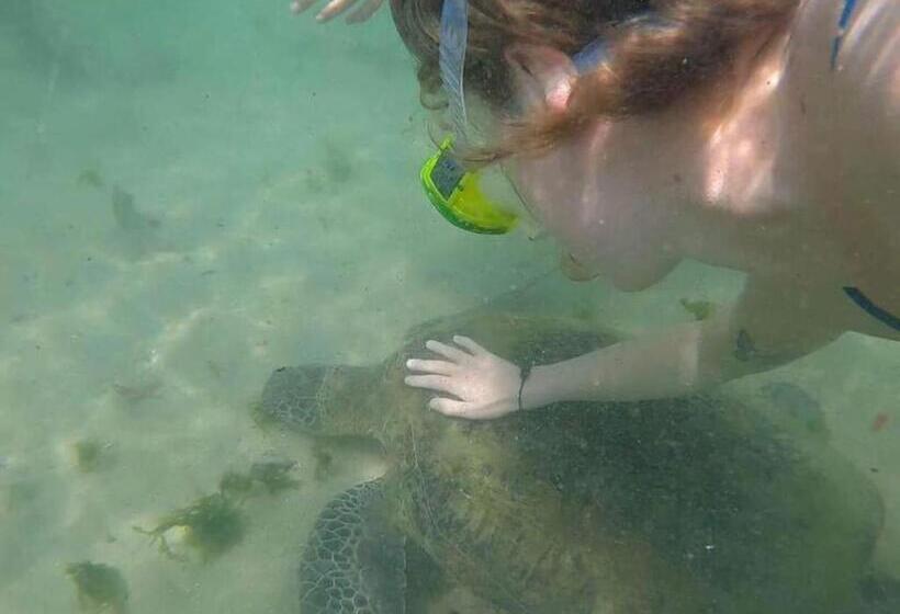 فندق White Lion Paradise Dikwella