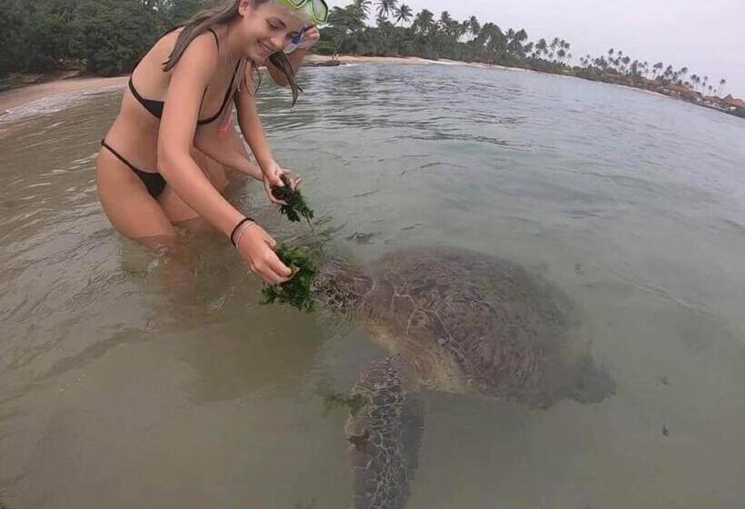 فندق White Lion Paradise Dikwella